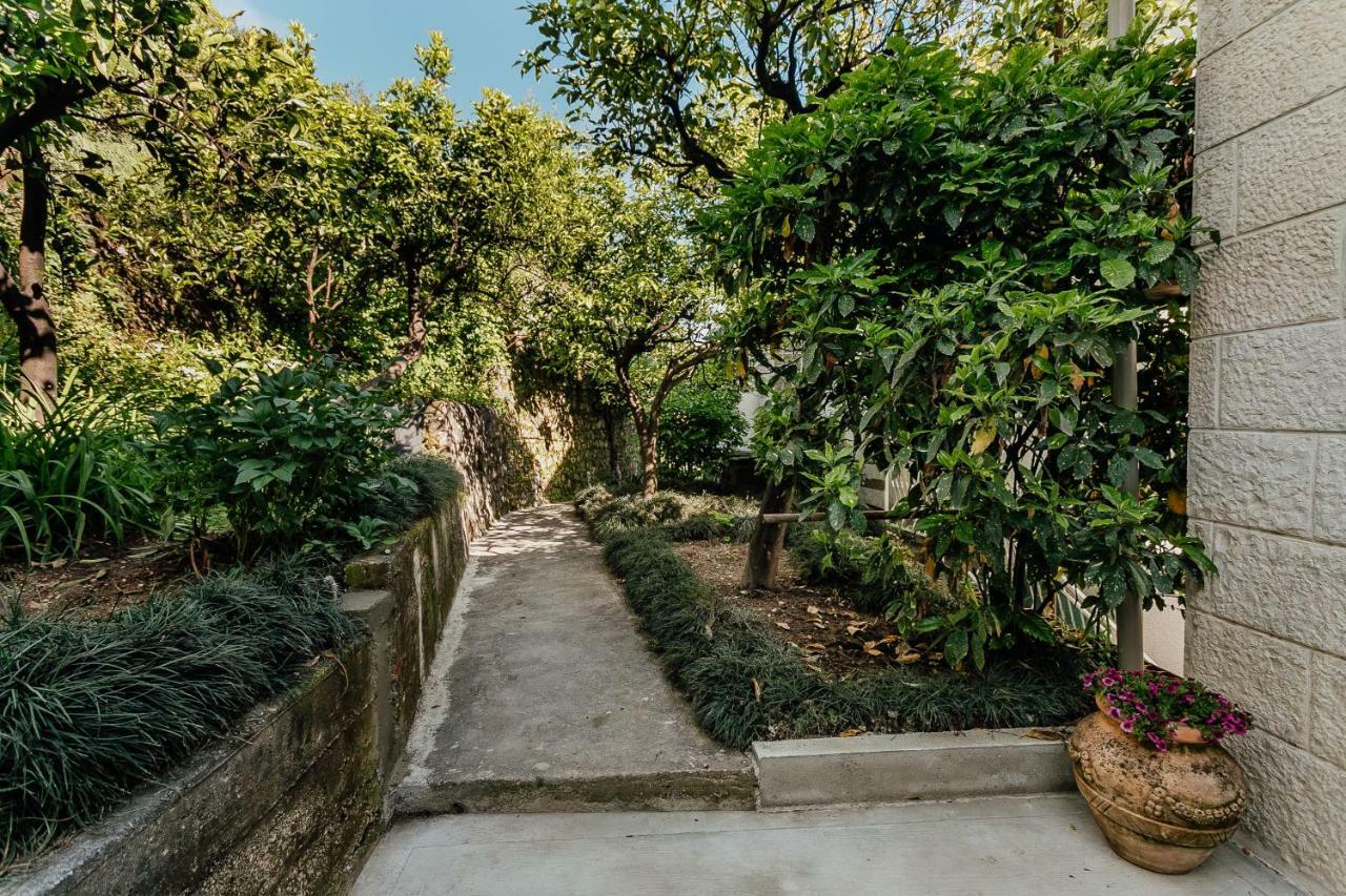 Boka Apartment 4 Herceg Novi Kültér fotó